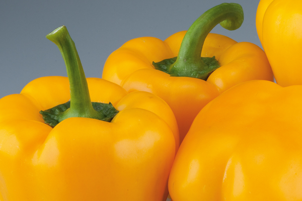 Pimiento